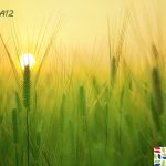 Najava natječaja i zajmova za ruralni razvoj u 2024.